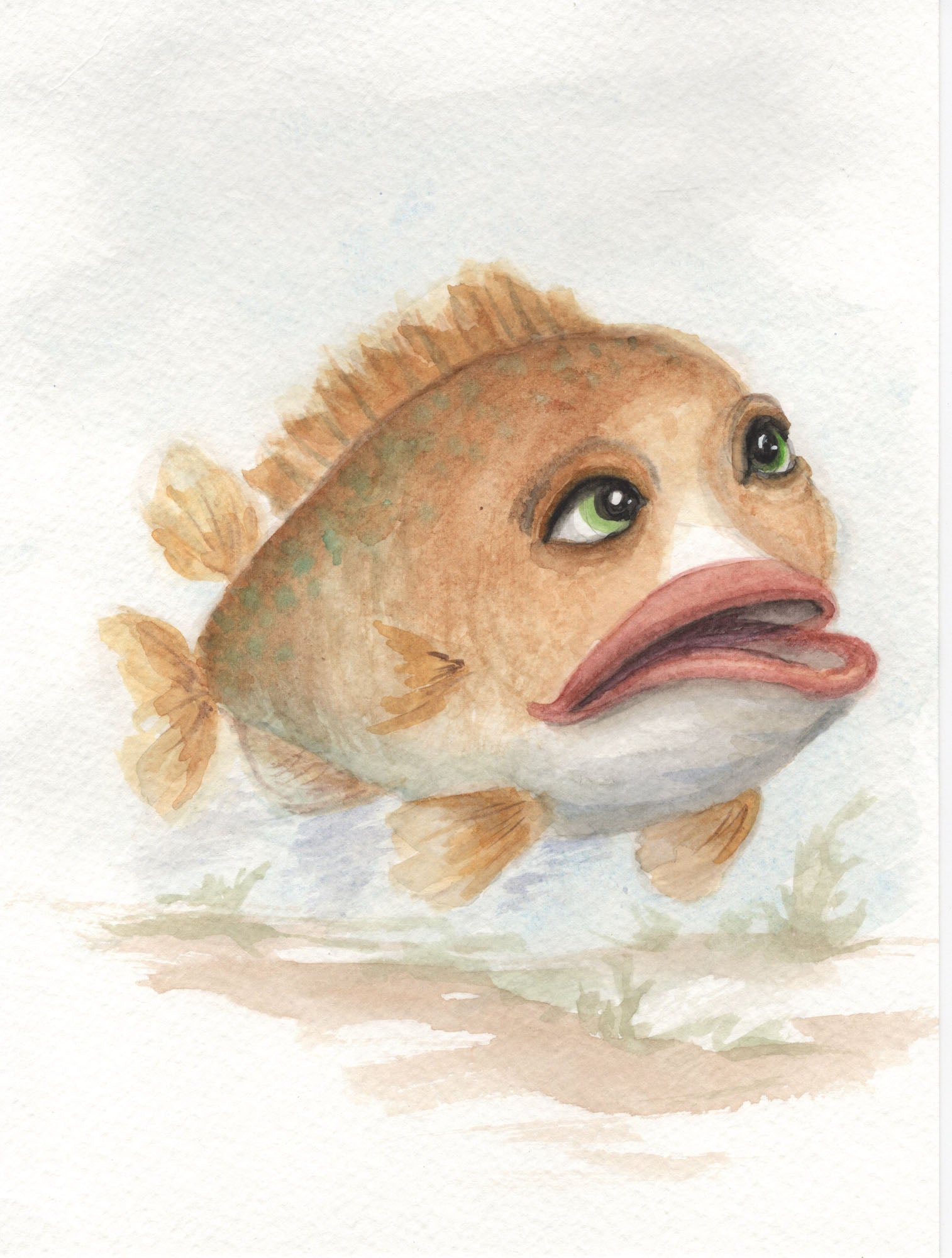 Confused Fish