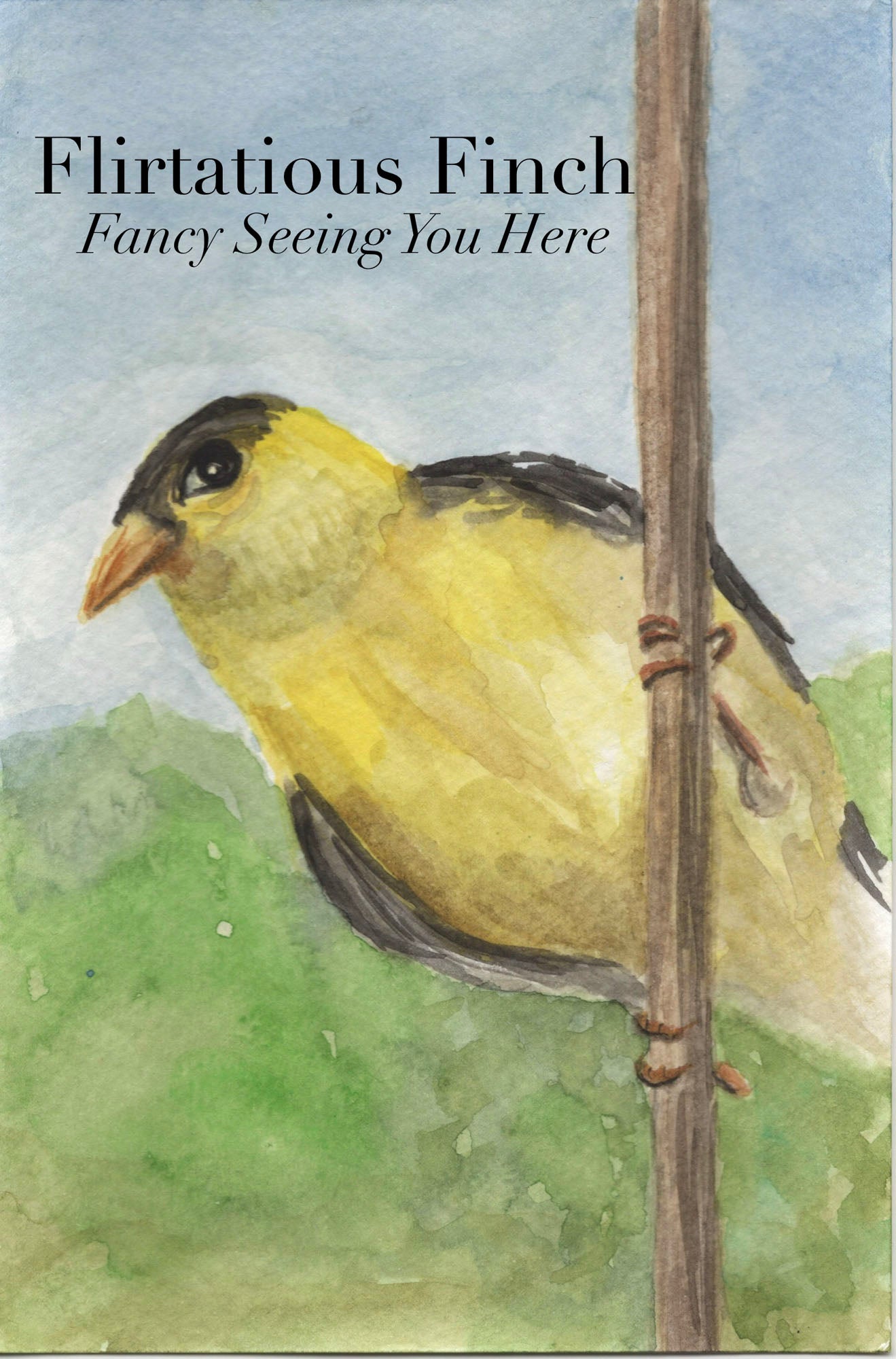 Fretful Finch