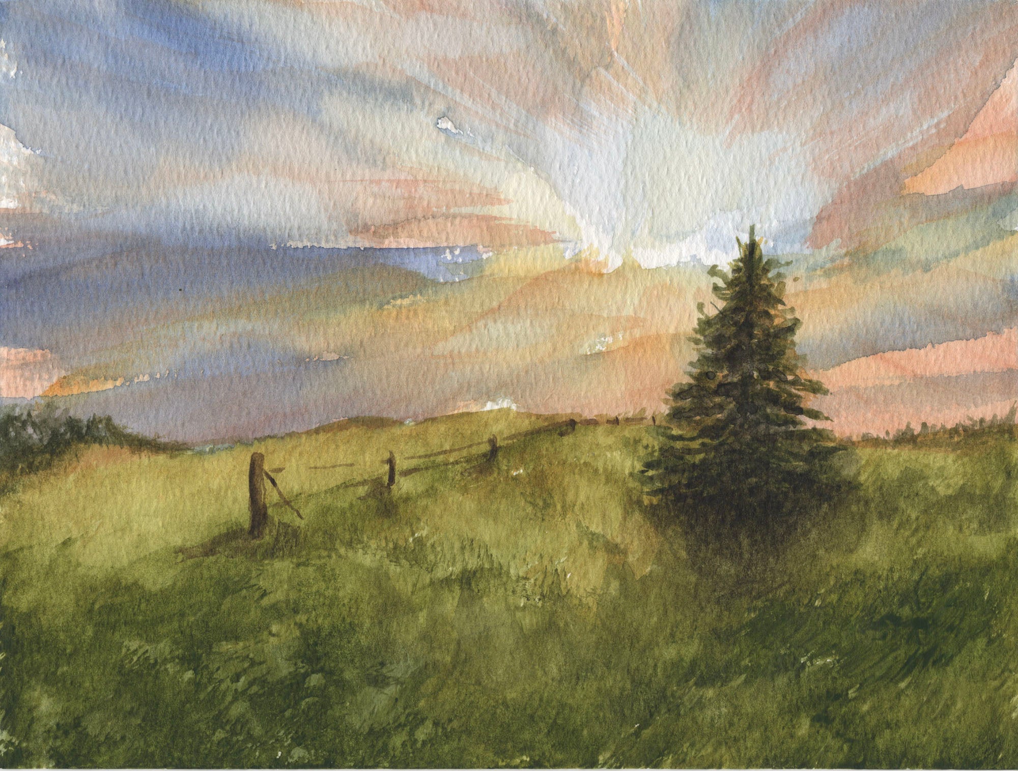 Warm Summer Morning