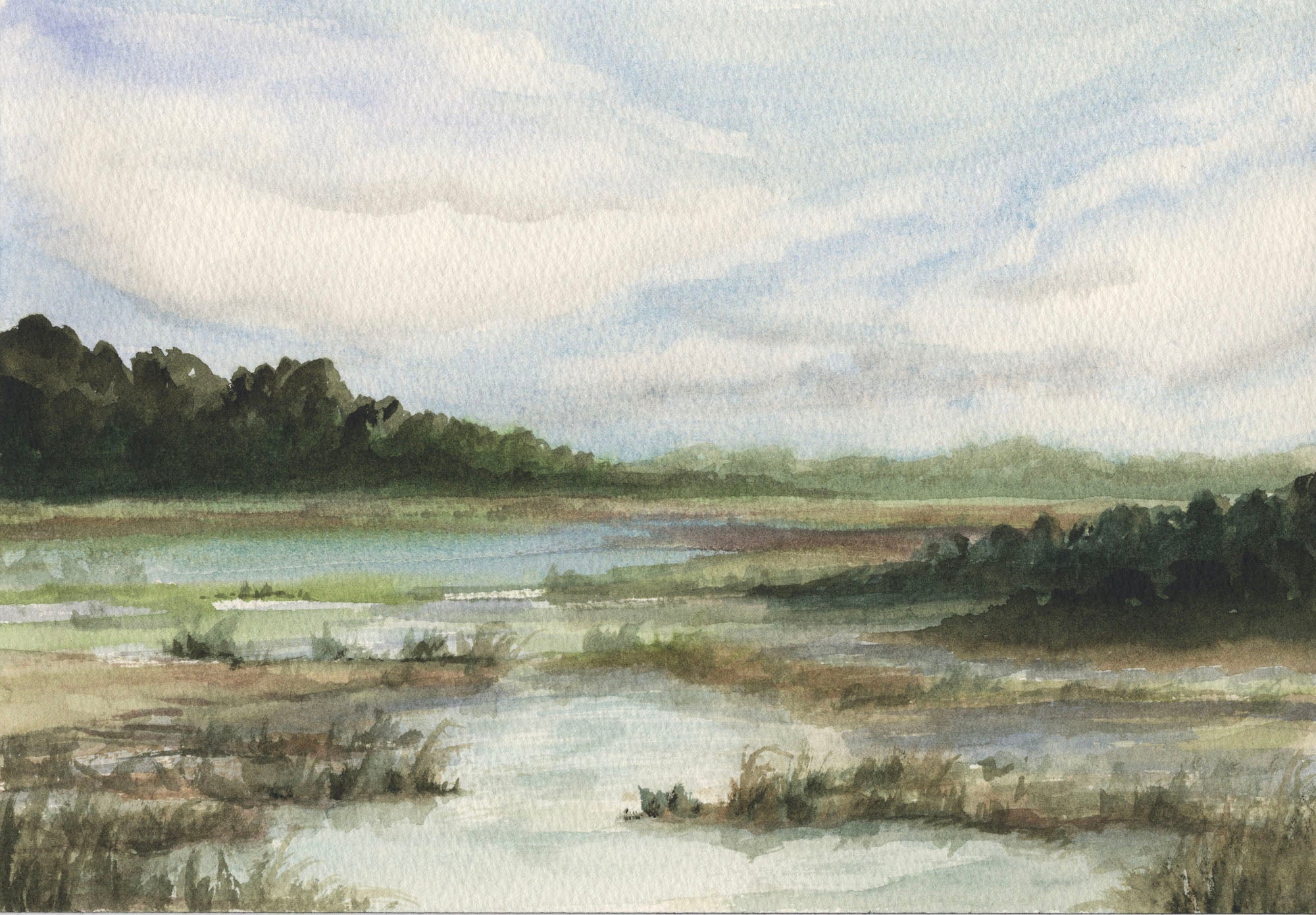 Wetlands