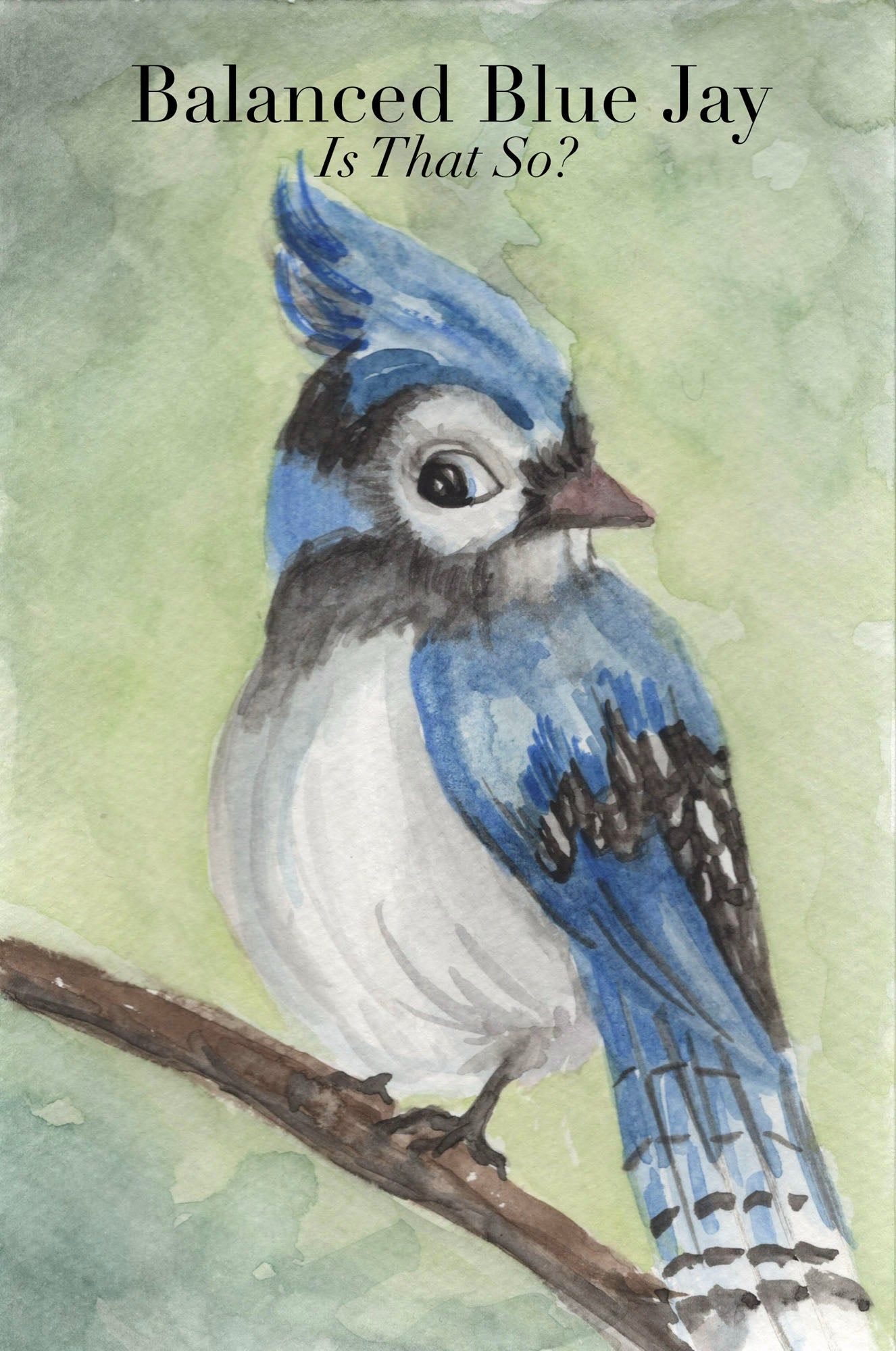 Balanced Blue Jay