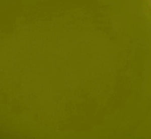 Wise Owl One Hour Enamel - Spanish Olive