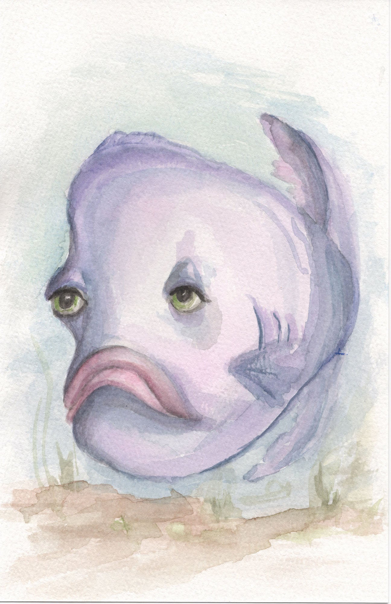 Purple Fish