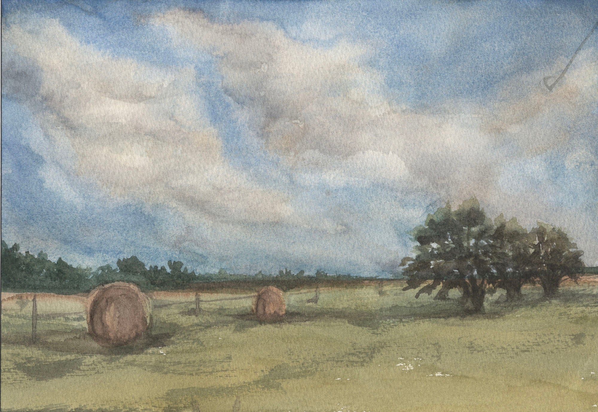 Summer Hay
