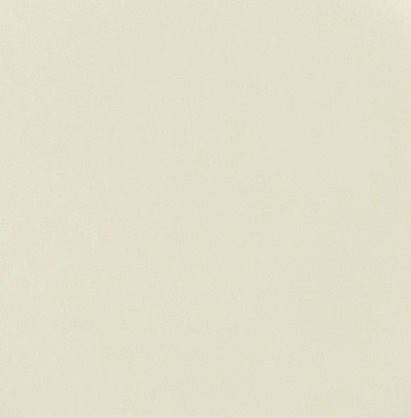 Wise Owl One Hour Enamel - Ivory
