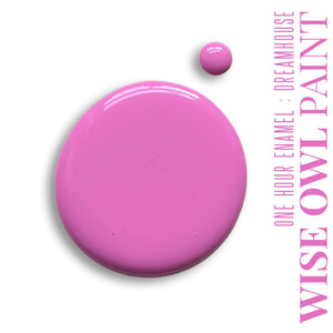 Wise Owl Chalk Synthesis Paint - Dreamhouse