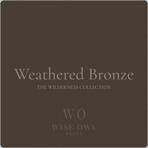 Wise Owl One Hour Enamel - Weathered Bronze